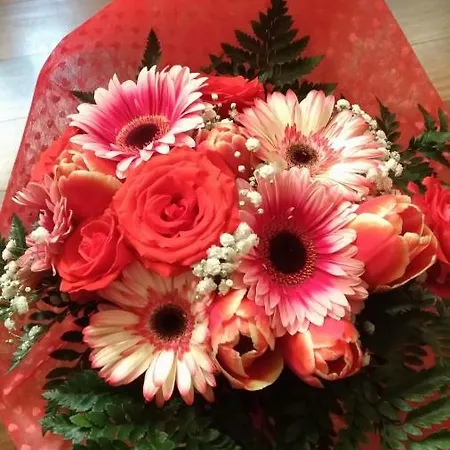 La Rosa Dei Venti Legnano